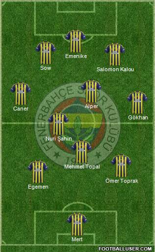 Fenerbahçe SK Formation 2014