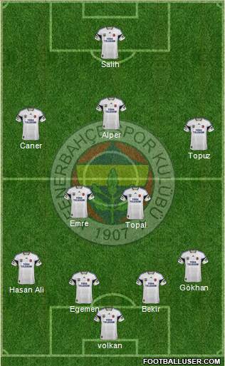 Fenerbahçe SK Formation 2014