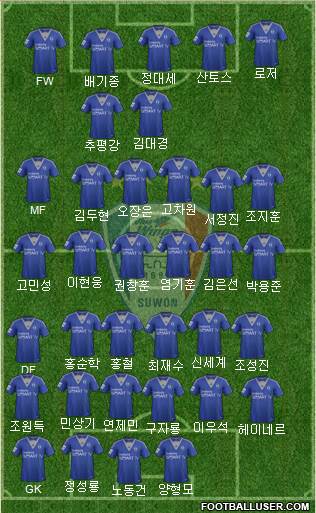 Suwon Samsung Blue Wings Formation 2014