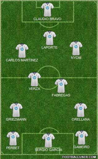 Tottenham Hotspur Formation 2014