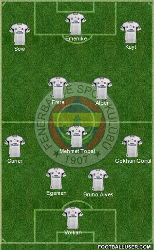 Fenerbahçe SK Formation 2014