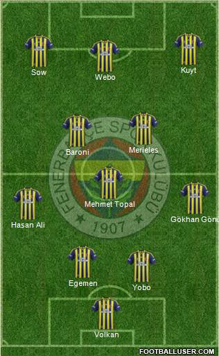 Fenerbahçe SK Formation 2014