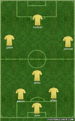 Newcastle United Formation 2014