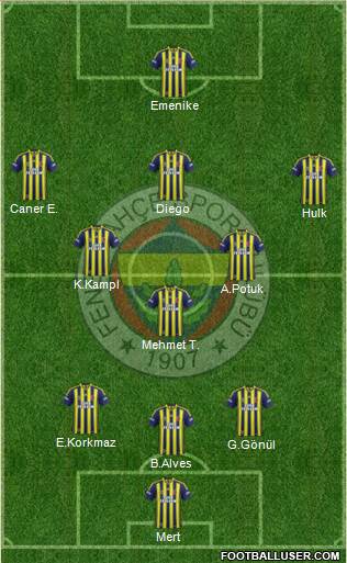 Fenerbahçe SK Formation 2014