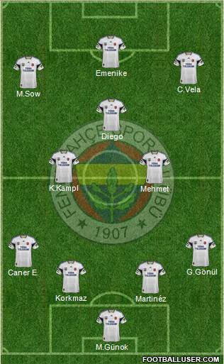 Fenerbahçe SK Formation 2014