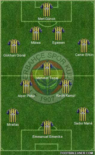 Fenerbahçe SK Formation 2014