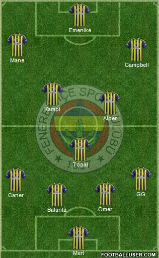 Fenerbahçe SK Formation 2014