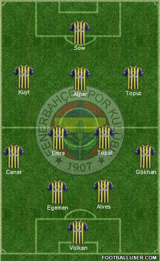 Fenerbahçe SK Formation 2014
