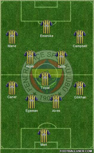 Fenerbahçe SK Formation 2014