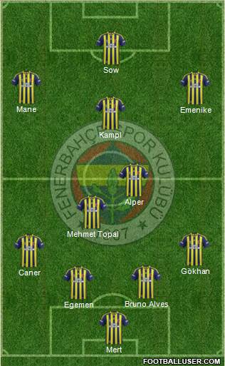 Fenerbahçe SK Formation 2014