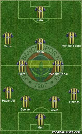 Fenerbahçe SK Formation 2014