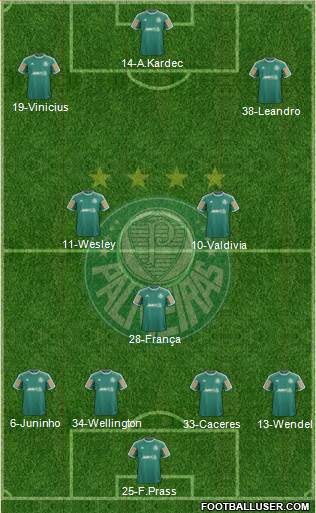 SE Palmeiras Formation 2014