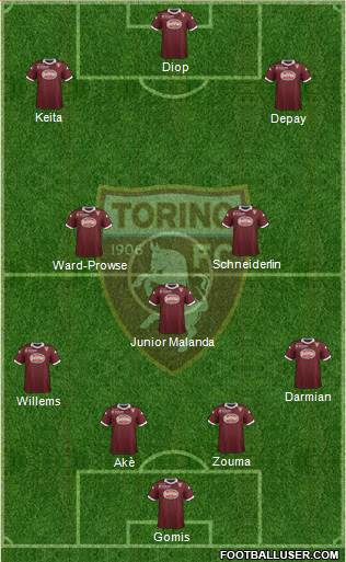 Torino Formation 2014