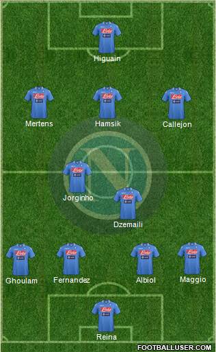 Napoli Formation 2014
