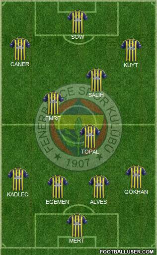 Fenerbahçe SK Formation 2014