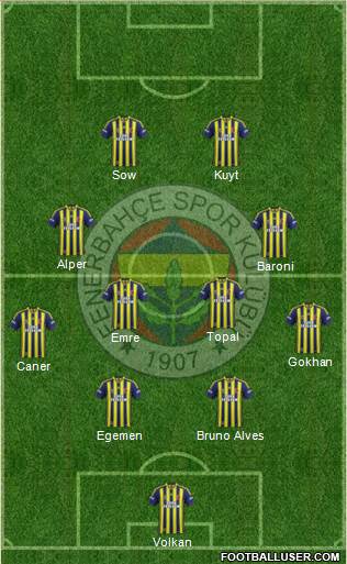 Fenerbahçe SK Formation 2014