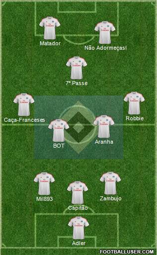 Hamburger SV Formation 2014