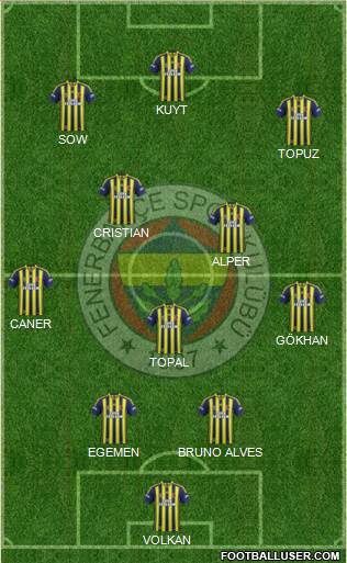 Fenerbahçe SK Formation 2014