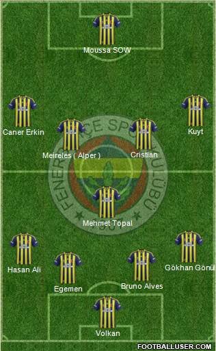 Fenerbahçe SK Formation 2014