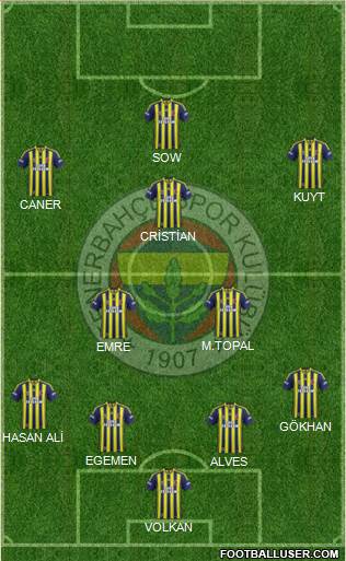 Fenerbahçe SK Formation 2014