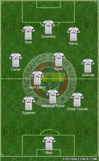 Fenerbahçe SK Formation 2014