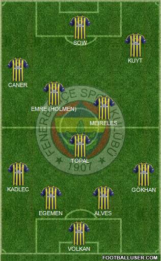 Fenerbahçe SK Formation 2014