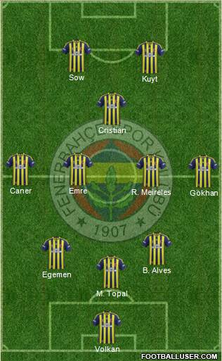 Fenerbahçe SK Formation 2014