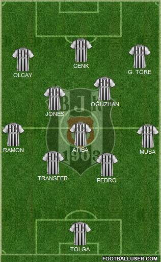 Besiktas JK Formation 2014