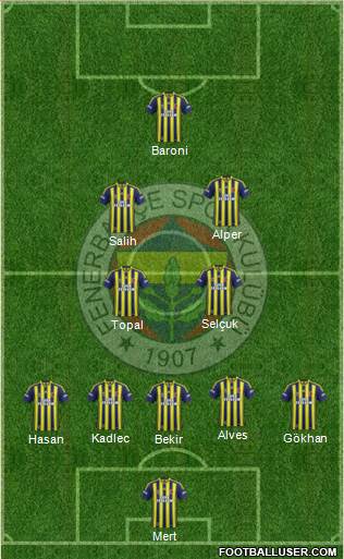 Fenerbahçe SK Formation 2014