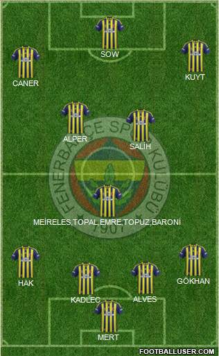 Fenerbahçe SK Formation 2014