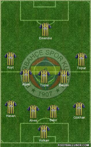 Fenerbahçe SK Formation 2014