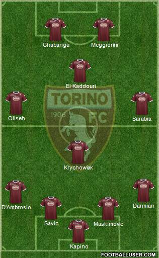 Torino Formation 2014