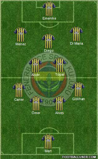 Fenerbahçe SK Formation 2014
