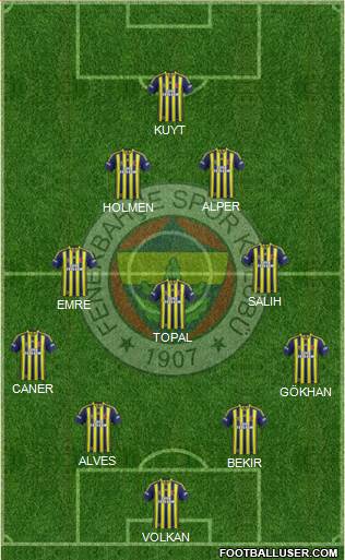 Fenerbahçe SK Formation 2014