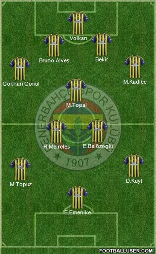 Fenerbahçe SK Formation 2014