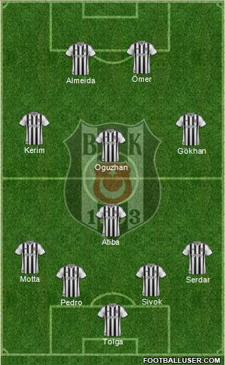 Besiktas JK Formation 2014