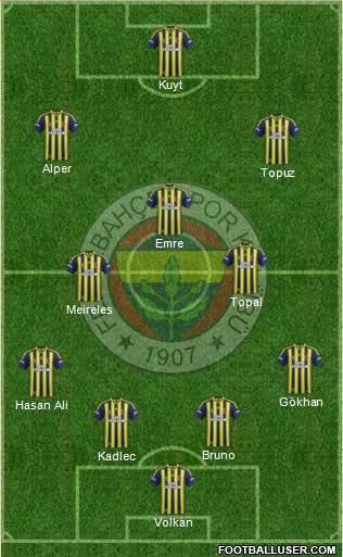 Fenerbahçe SK Formation 2014