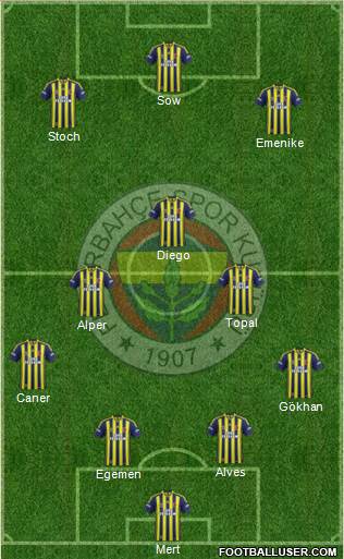 Fenerbahçe SK Formation 2014
