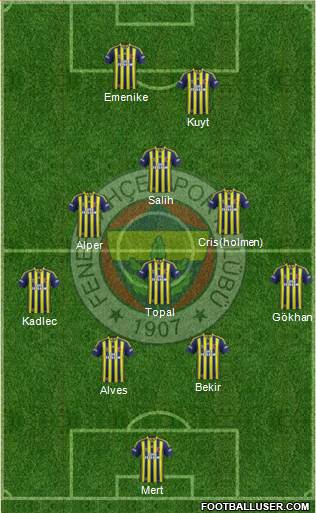 Fenerbahçe SK Formation 2014