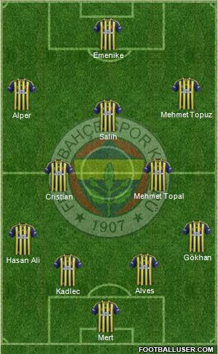 Fenerbahçe SK Formation 2014