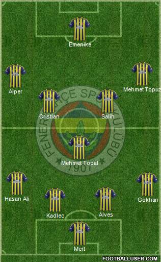 Fenerbahçe SK Formation 2014
