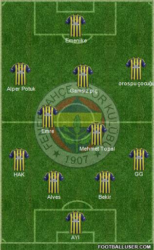 Fenerbahçe SK Formation 2014