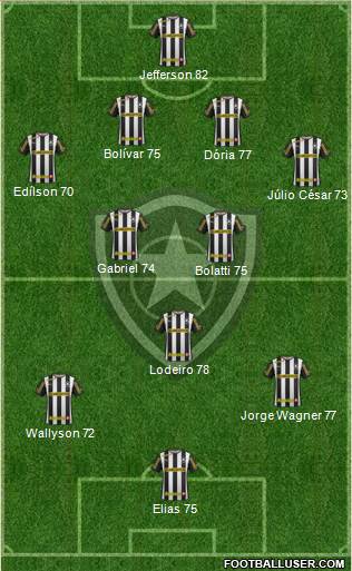 Botafogo FR Formation 2014