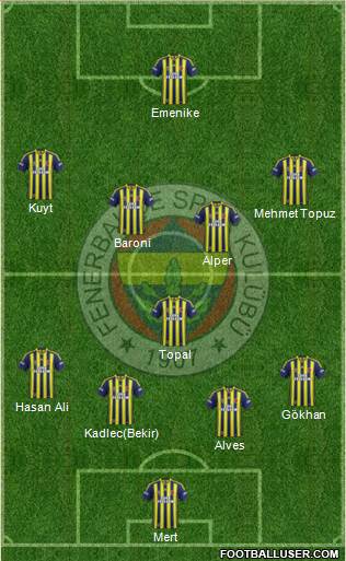 Fenerbahçe SK Formation 2014