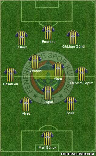 Fenerbahçe SK Formation 2014