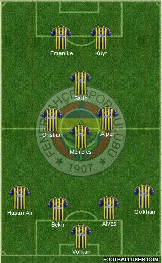 Fenerbahçe SK Formation 2014