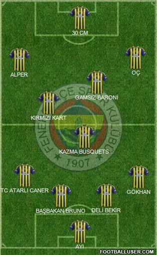 Fenerbahçe SK Formation 2014