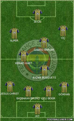Fenerbahçe SK Formation 2014