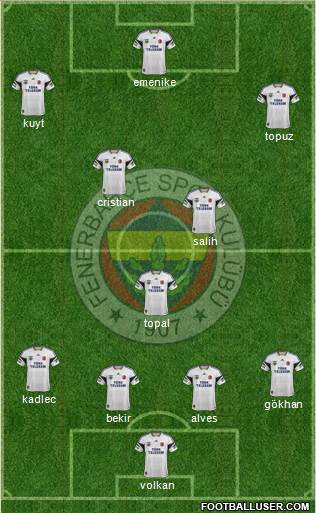 Fenerbahçe SK Formation 2014