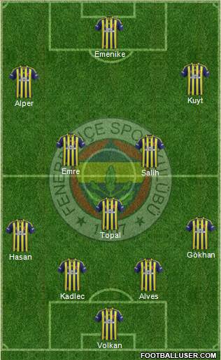 Fenerbahçe SK Formation 2014